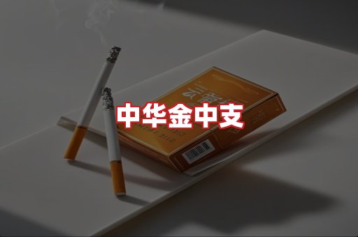 中华金中支